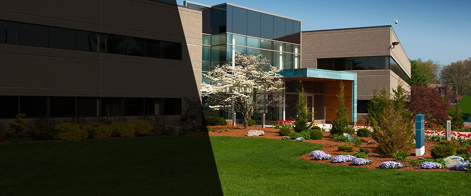 Paradise Valley Landscapers