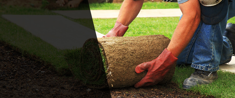 Paradise Valley Landscapers